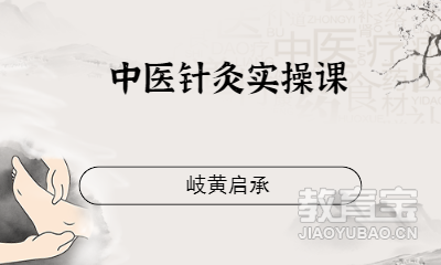 中医针灸实操课
