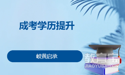 成考学历提升