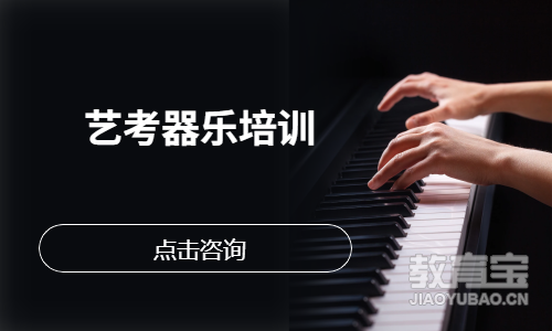 艺考器乐培训