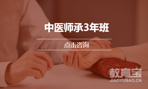 中医师承3年班