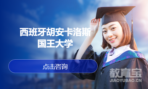 西班牙胡安卡洛斯国王大学
