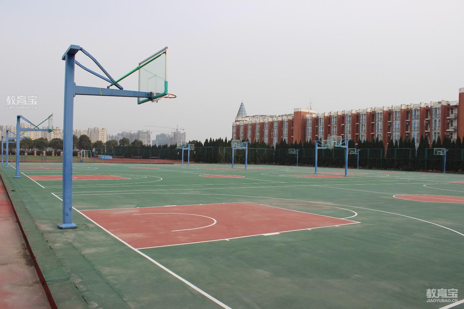 上海东方外国语学校图片