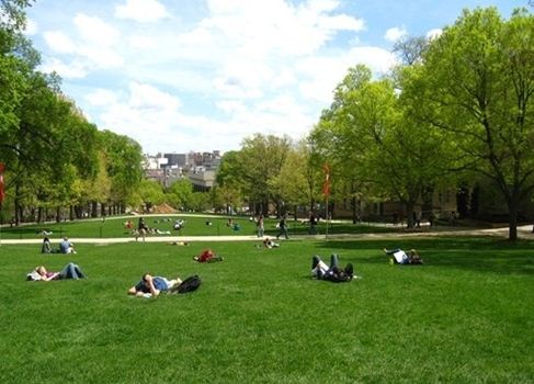 托福口语怎样才能更好阐述呢 托福考试