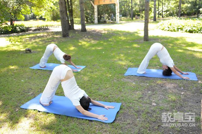 这些瑜伽动作帮你排清身体毒素   瑜伽体式