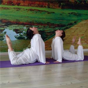 常练瑜伽三式调节内分泌症状  瑜伽动作