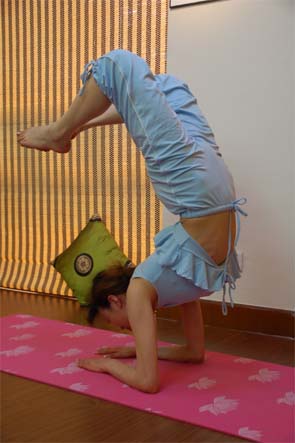 紧致腰身的瑜伽体式练习分享  瑜伽动作