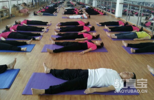 美容排毒的瑜伽体式有哪些呢