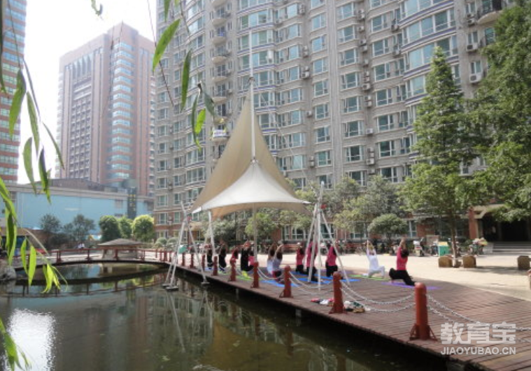 练习这几种瑜伽体式甩掉你的虎背熊腰