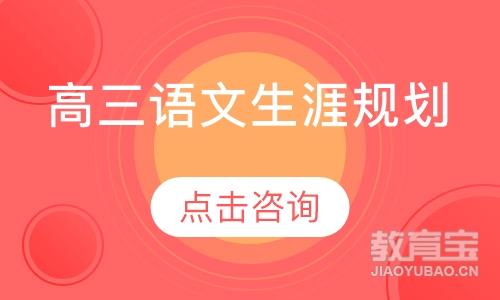 上海智立方高三语文生涯规划