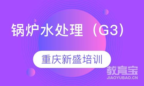 锅炉水处理（G3）