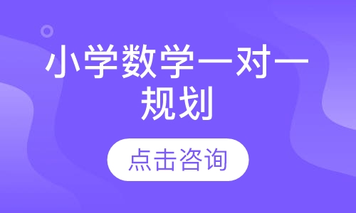 小学数学一对一规划