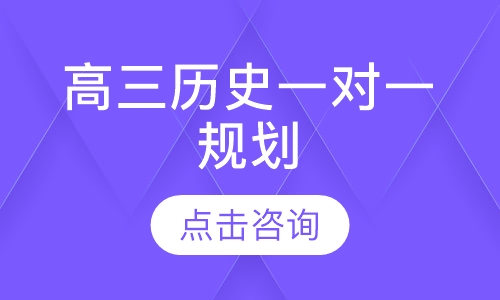 高三历史一对一规划