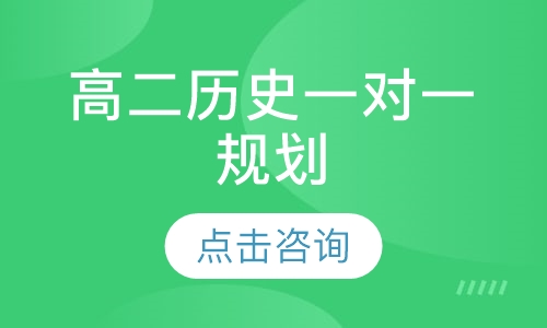 高二历史一对一规划