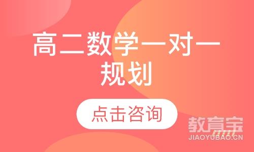 高二数学一对一规划