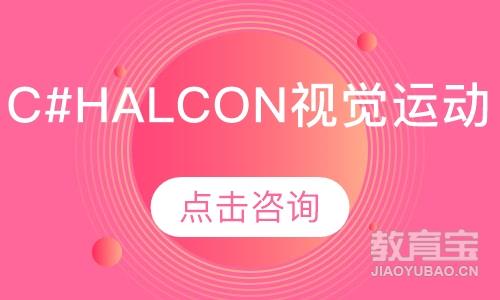 C#halcon视觉运动班