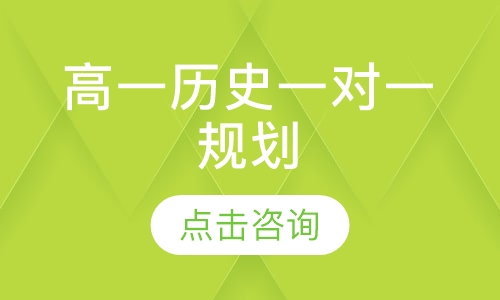 高一历史一对一规划