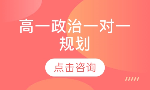 高一政治一对一规划