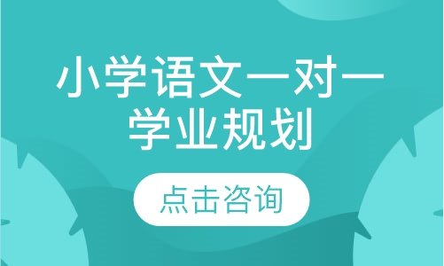 小学语文一对一学业规划