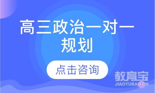 高三政治一对一规划