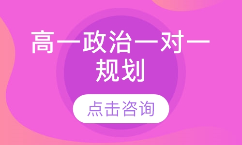 高一政治一对一规划