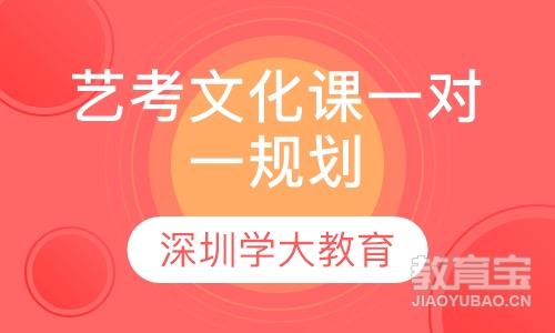 深圳学大艺考文化课全科一对一规划