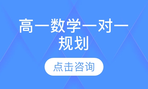 高一数学一对一规划