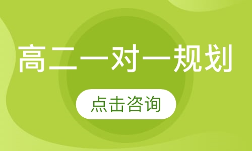 高二一对一规划