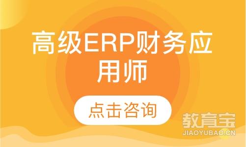 高级ERP财务应用师