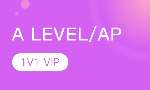 A level/AP 1V1 VIP