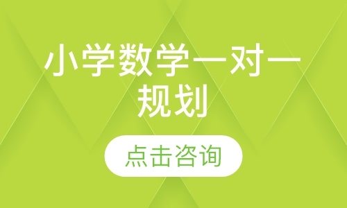 小学数学一对一规划