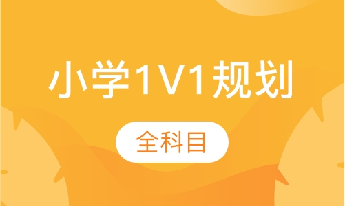 小学1V1规划