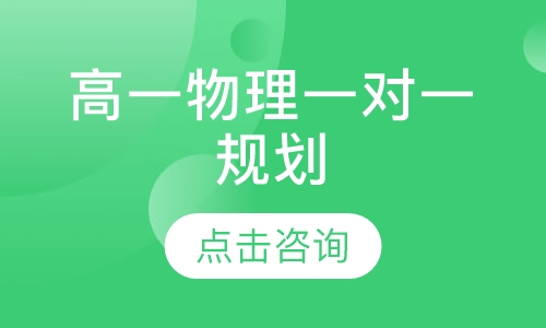 高一物理一对一规划