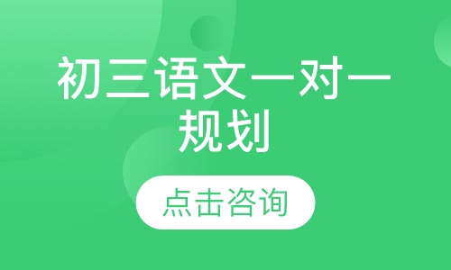 初三语文一对一规划