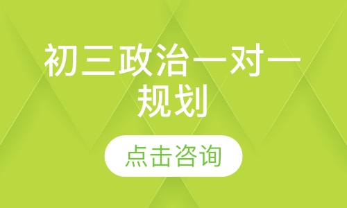 初三政治一对一规划