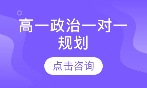 高一政治一对一规划