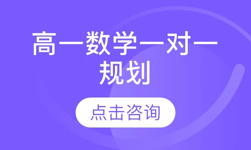 高一数学一对一规划