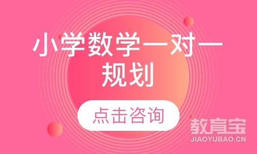 小学数学一对一规划