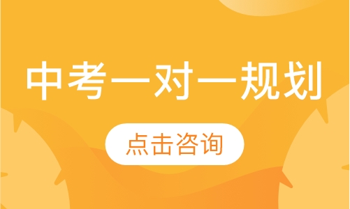 中考一对一规划