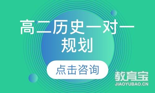 高二历史一对一规划