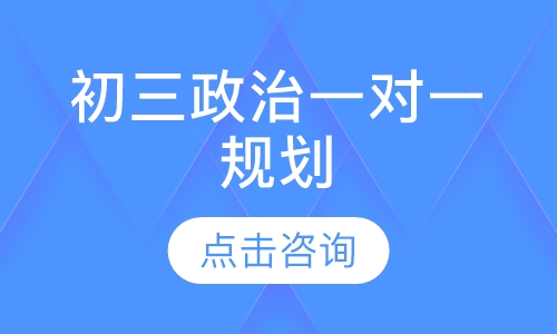 初三政治一对一规划