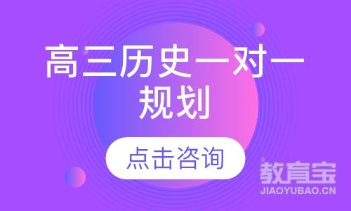 高三历史一对一规划