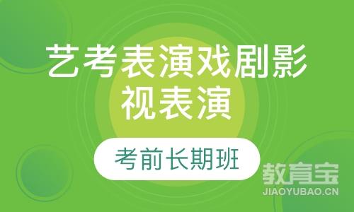 艺考表演戏剧影视表演石家庄表演艺考长期班