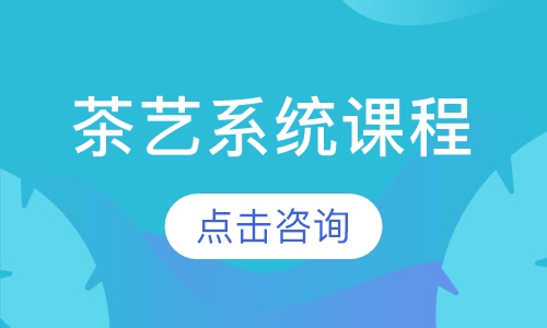 茶艺系统课程