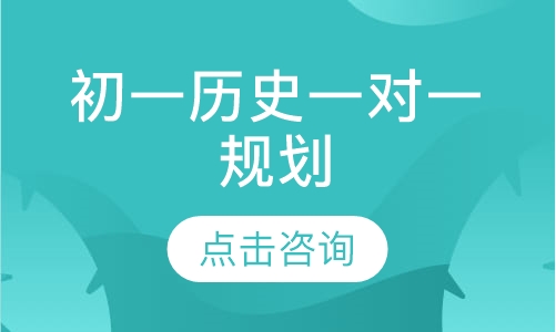 初一历史一对一规划