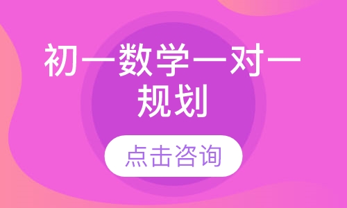 初一数学一对一规划