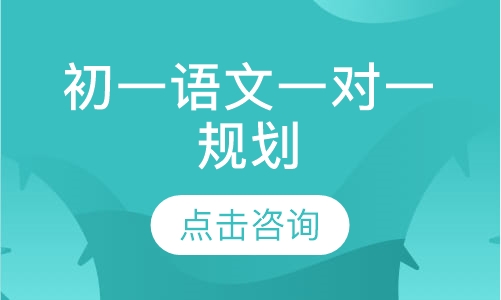 初一语文一对一规划