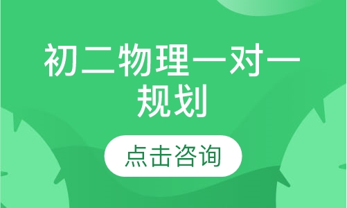 初二物理一对一规划
