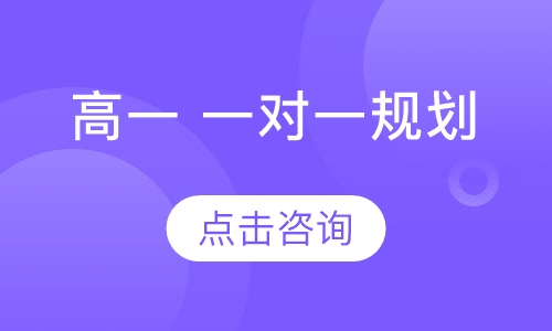 高一 一对一规划