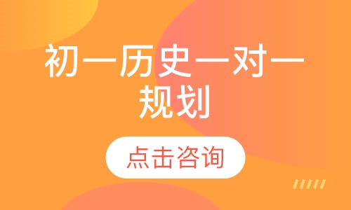 初一历史一对一规划