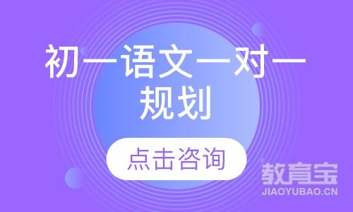 初一语文一对一规划